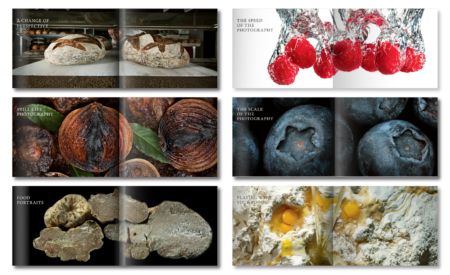 Chapter openers for Food & Drink: Modernist Cuisine Photography